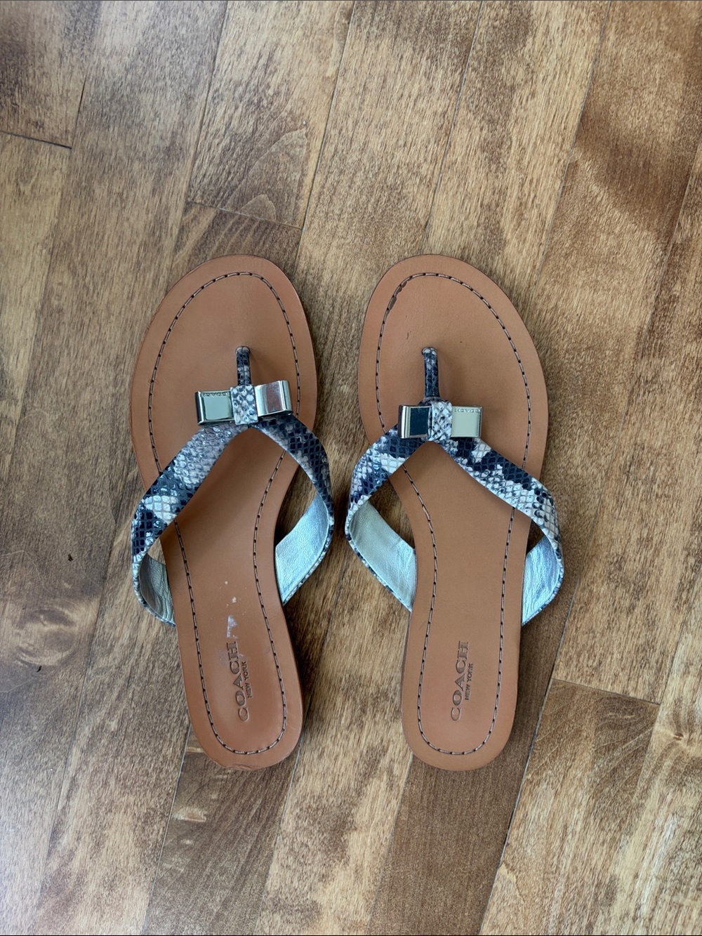 Coach New York Sable Snake Print Sandal Size 7